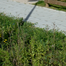 Archinormandie-Logements-Colombelles-04