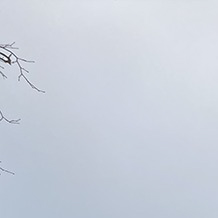 Archinormandie-Zak-et-P-01